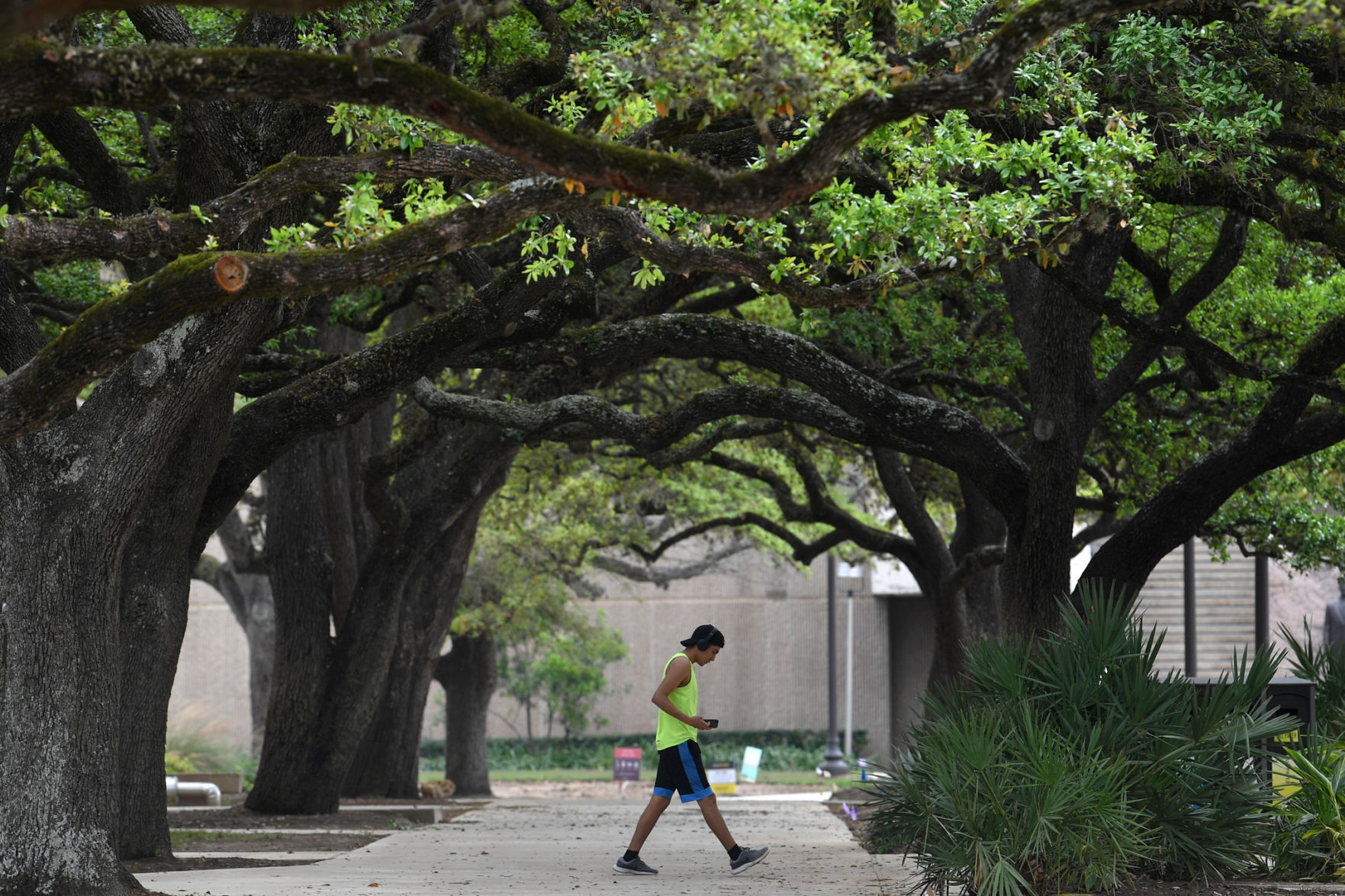 Texas A&M University
